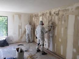 Best Biohazard Mold Removal  in Des C, AR